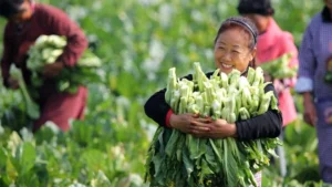 9868040c-aee4-4d0a-8395-5b52ec3cb56b (1)