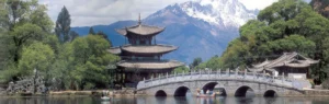 Yunnan-head