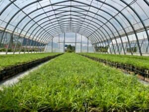 Weixin Image_20250830163400