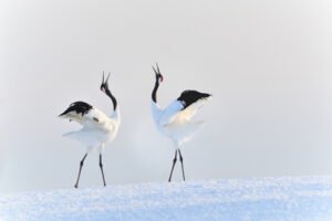 22d77ad7-9583-4dc4-90e7-e22635926dcb_1692175870