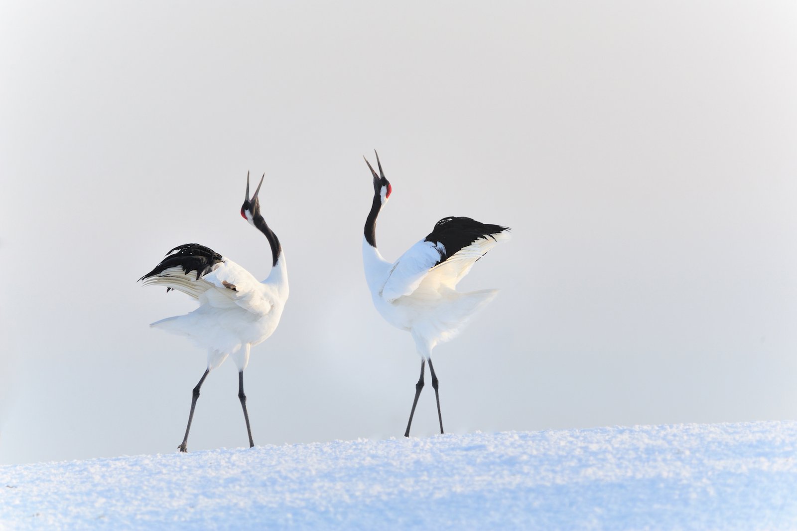 22d77ad7-9583-4dc4-90e7-e22635926dcb_1692175870