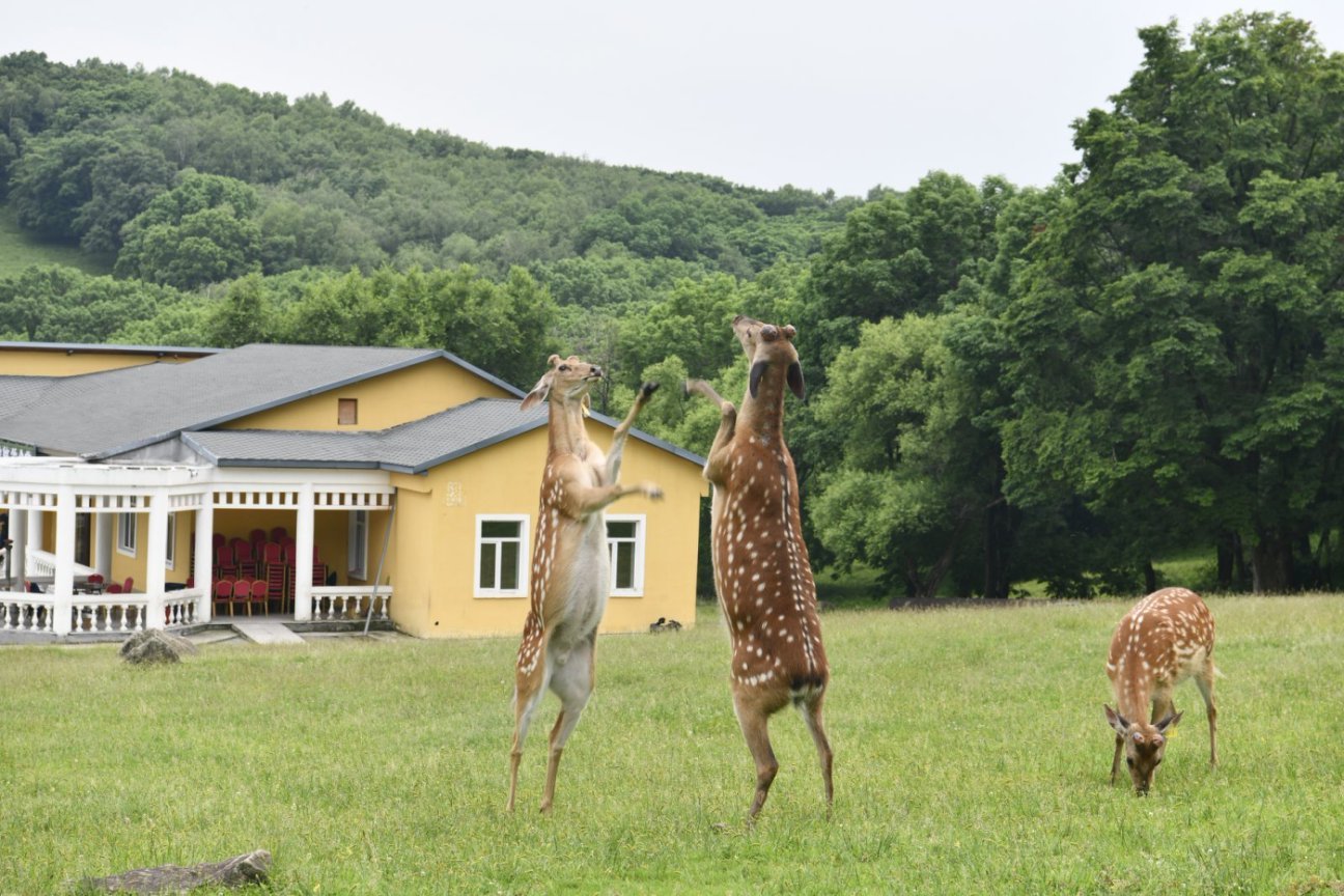 2faa6cd31nb3905eb2be81d233bcbef2