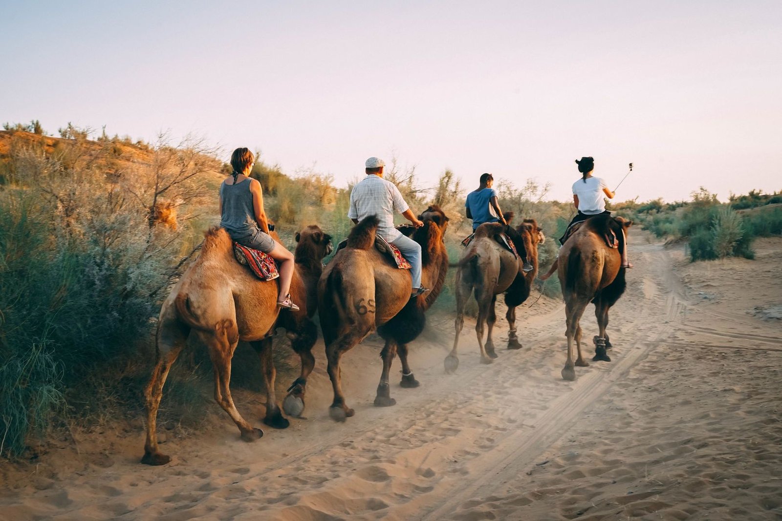 Makale Çağrısı: İpek Yolu Turizm Çalışmaları Dergisi (JSRTS)